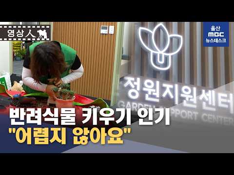 [영상인]"반려식물 키우기 어렵지 않아요" (2026.08.23/뉴스데스크/울산MBC)