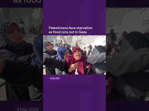UN warns of mass starvation in Gaza