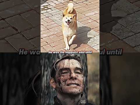 Sad dog moment 😢💔 (Accident) #shortsfeed #shortvideo #sad #dog