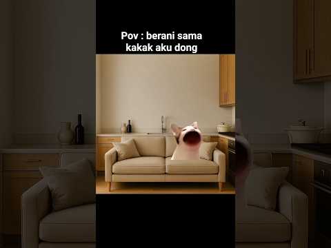 kakak nya malah ngupil🗿#kucingedit #cat #kucinganggoralucudanimut #kucing #imut #meme