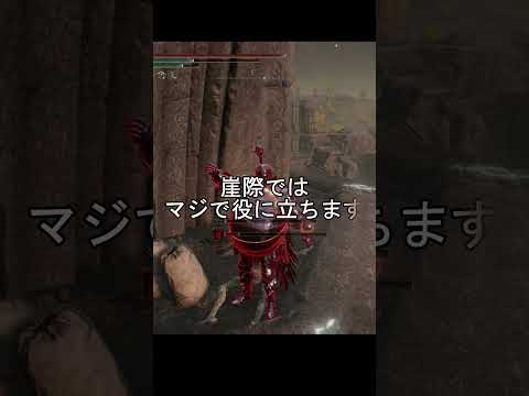 エルデンリング 地獄の侵入　しろがね頭は絶対許さん殲滅するまでぶっ潰す！  ELDEN RINGDLC #elden #eldenringdlc #ダクソ3