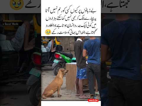 Ek Humdard insan 🥹♥️Heart touching | Humanity with animals | Golden words | Urdu quotes #shorts
