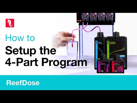 How to setup the 4-Part Program