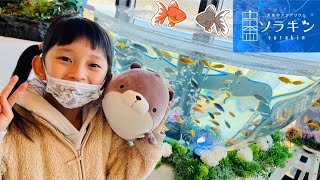 動画サムネイル