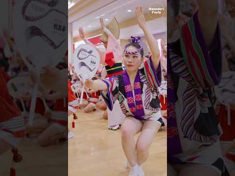 【阿波踊り2026】オープニングから釘付けになる娯茶平の踊り