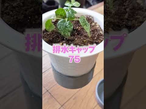 コレは水道屋あるある