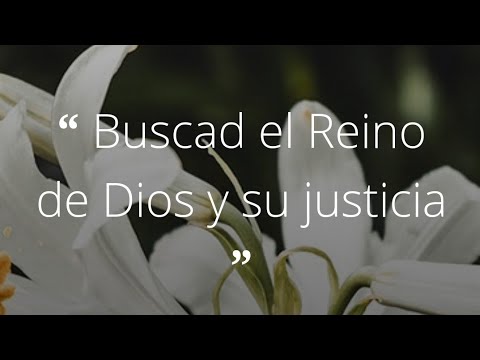 Evangelio y Reflexión para hoy Sábado 22 de Junio de 2024.