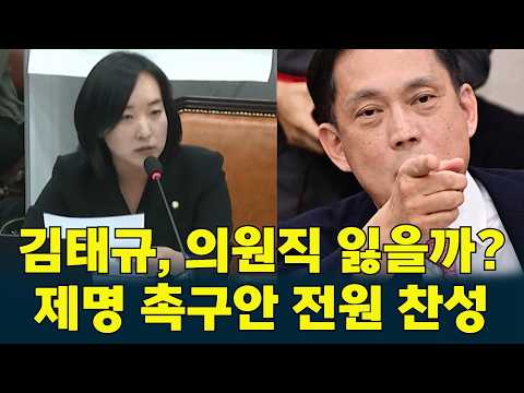 #김태규  , 의원직 잃을 수 있나?…운영위 제명 촉구안 가결