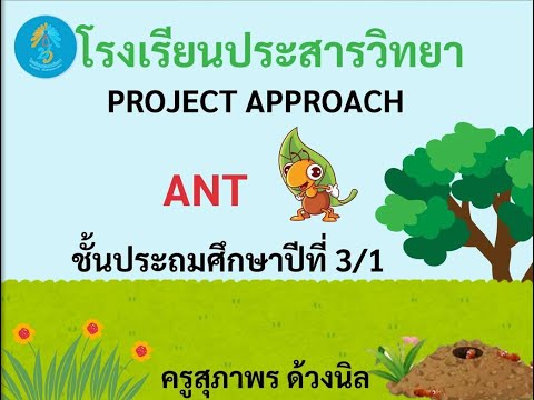 ProjectApproachเรื่องมดป.31