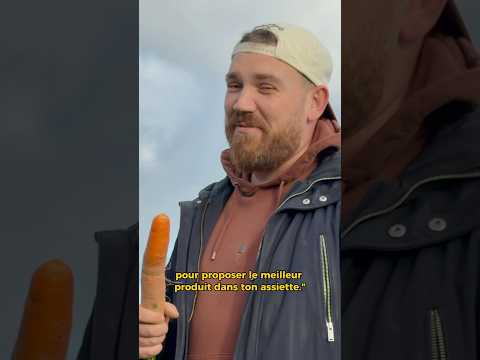 La Mouche de la Carotte !