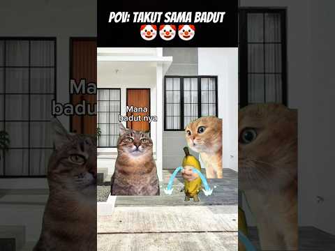 Pov : Takut sama Badut 🤡 #meme #cat #kucing #catlovers #pets