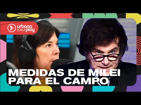 Tensión Milei-Villarruel, quita de Impuesto País, cambios en exportación y paciencia para el cepo