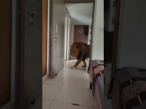 #Slowed #babifreitas