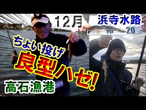 【大阪ハゼ釣り・浜寺水路】ヤバい！12月のちょい投げでマハゼ釣り！チヌ・キビレも！お昼は温かいカップラーメンにコーヒー！大阪の浜寺公園駐車場から浜寺水路を南に高石漁港方面で夜釣り突入！なんとキスも？