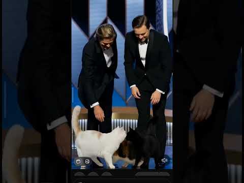Bradd Pit Leonardo Di Caprio & Cats #fashion #food #viral #fyp #cats #wow #animals #metgala #oscars