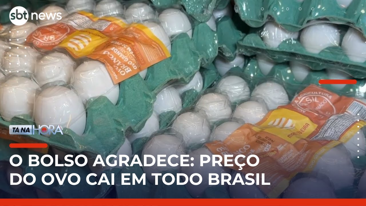 Preço do ovo começa a cair no Brasil após alta expressiva no ano | TanaHora