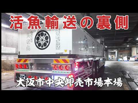 【西日本最大の卸売市場】大阪本場に潜入!活きた魚を運ぶ活魚輸送の男たち