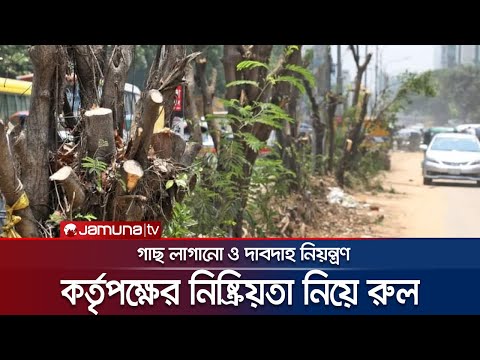 গাছ লাগানো ও দাবদাহ নিয়ন্ত্রণে কর্তৃপক্ষের নিষ্ক্রিয়তা নিয়ে রুল | Tree Plantation | Jamuna TV
