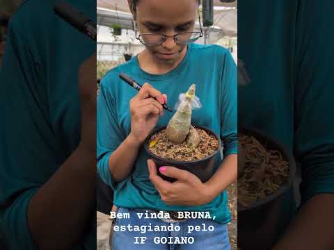 Nossoa parceria com o IF GOIANO, campus HIDROLANDIA, estágio para futuros agrônomos