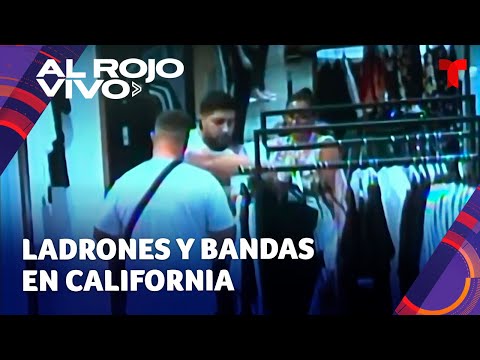 Denuncian turismo delictivo: bandas criminales de otros países que llegan a California para robar