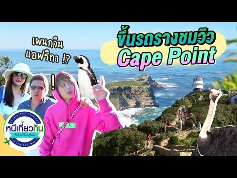 ขึ้นรถรางชมวิว-Cape-point-และด ขึ้นรถรางชมวิว-Cape-point-และด