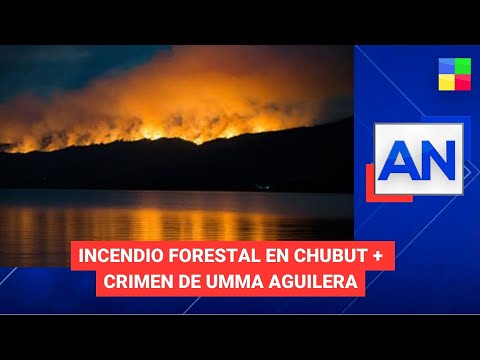 Incendio forestal en Chubut + Crimen de Umma Aguilera #AméricaNoticias | Programa completo (30/1/24)