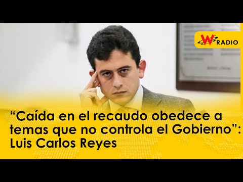 “Caída en el recaudo obedece a temas que no controla el Gobierno”: Luis Carlos Reyes