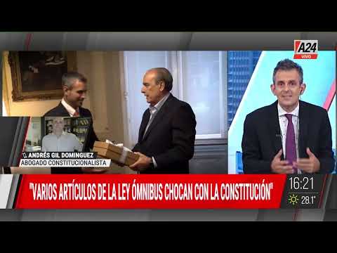 Varias artículos de la Ley ómnibus chocan con la Constitución - Andrés Gil Domínguez
