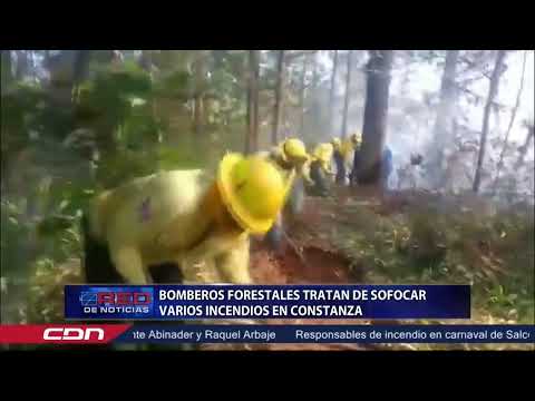 Bomberos Forestales tratan de sofocar varios incendios en Constanza