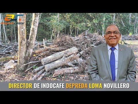 Director de INDOCAFE depreda Loma Novillero, Sin Maquillaje, marzo 6, 2023.
