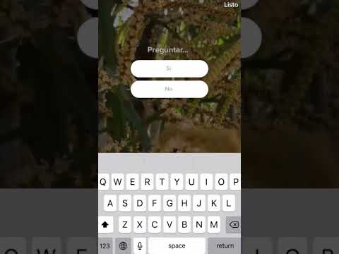 Cómo hacer una encuesta en Tik tok