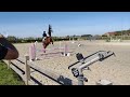 障碍赛马匹 6j springpaard, Orlando x Clinton
