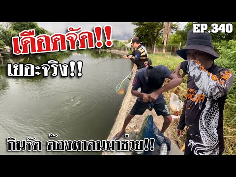 We are Angler channel 🎣🐠WeareAnglerEP:340“โคตรเดือด!!ปลาขึ้นเต็มน้ำกินจัดมากต้องหา