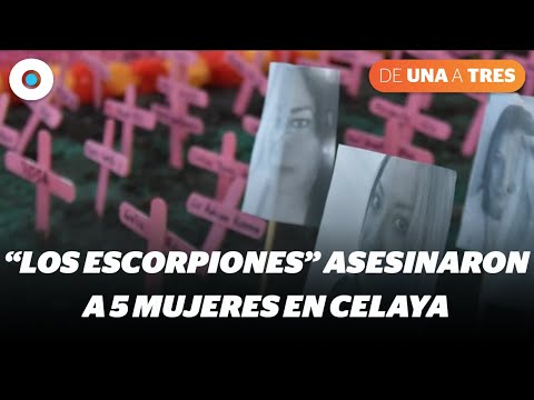 Los Escorpiones responsables del asesinato de 5 mujeres en Celaya #de1a3