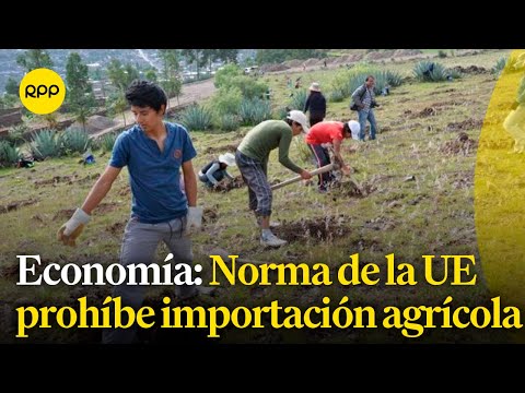 Norma de la UE que prohíbe importación de productos agrícolas afectaría más de 1 millón de peruanos