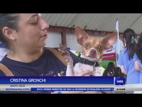 Realizan en el Parque Omar la feria Amo a mis mascotas