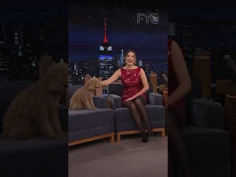 #MillieBobbyBrown brought her puppy Winnie to the Tonight Show  #FallonTonight #FYC