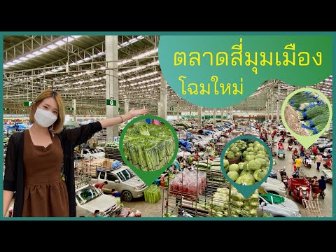 คนเกาหลีตกใจx2-ไม่เคยเห็นผักเย คนเกาหลีตกใจx2-ไม่เคยเห็นผักเย