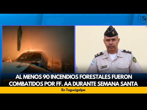 Al menos 90 incendios forestales fueron combatidos por FF. AA durante Semana Santa, en Tegucigalpa