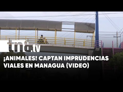 Para «animal» no se estudia: Imprudencias viales en Managua (VIDEO) - Nicaragua