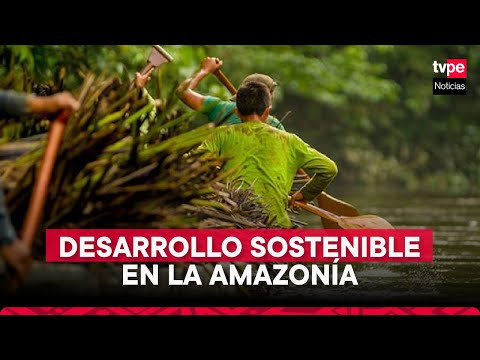 Grupo Pro Amazonía: los retos para proteger la selva peruana de la deforestación y la contaminación