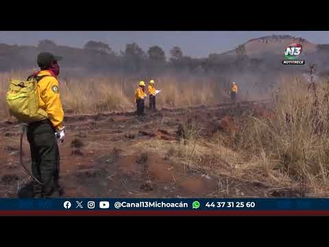 Las altas temperaturas han recrudecido la intensidad y duración de los incendios forestales