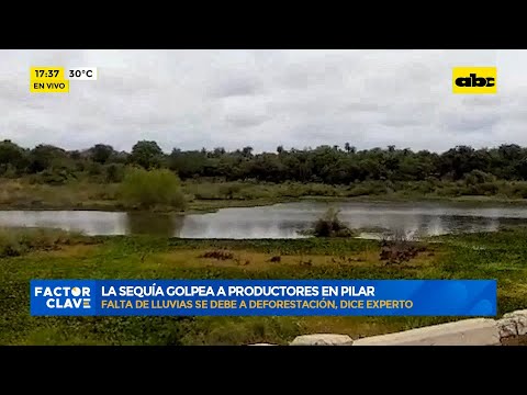 La sequía golpea a productores en Pilar