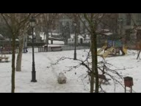 Snow settles in Madrid for second day in a row