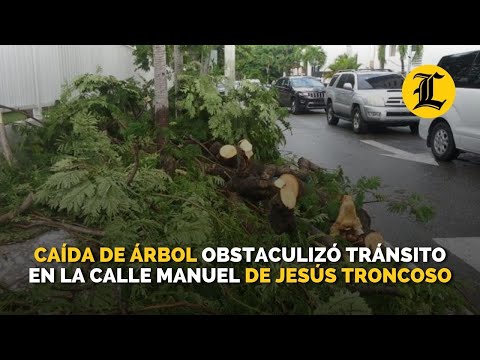 Caída de árbol obstaculizó tránsito en la calle Manuel de Jesús Troncoso