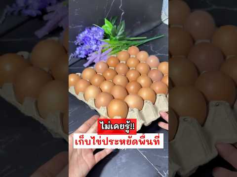 ไม่เคยรู้เก็บไข่ประหยัดพื้นที