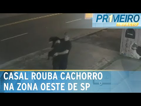 Casal invade casa e rouba cachorro em São Paulo | Primeiro Impacto (08/04/24)