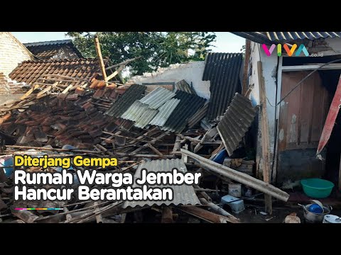 Jember Diguncang Gempa Magnitudo 5,1, Tak Berpotensi Tsunami