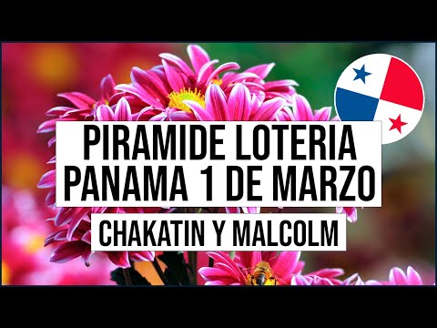 Pirámide Lotería de Panamá Miércoles 1 de Marzo 2023  - Pirámide de Chakatin y Malcolm Ramos