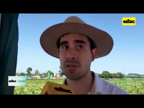 ABC RURAL: Variedades sojapar en jornada de campo en Pirapó